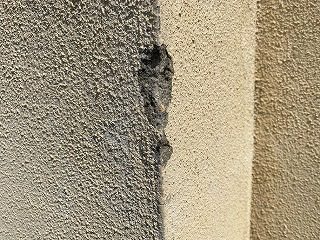 学校の外壁の状況。同一とは判断できない複数の色がある。